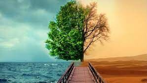 نظامِ سرمایه‌سازی!