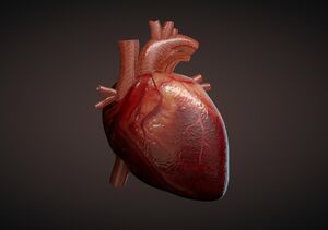 قلب می‌تواند ۴۵ سال پیرتر از سن فرد باشد