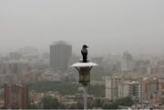 هوای تهران آلوده است