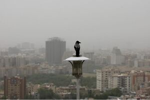 هوای تهران آلوده است