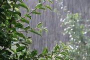 رگبار باران و رعد و برق در ۷ استان