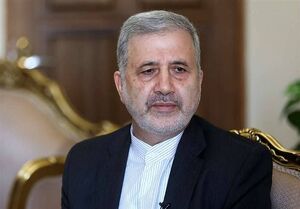 عنایتی : رسانه نقش مهمی در توسعه و تحکیم مناسبات ایران و عربستان دارد