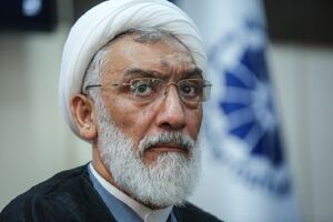 تمجید یک فعال اصلاح‌طلب از پورمحمدی/ نسخه انتخاباتی چوبدارها برای مردمان چوب‌خورده!