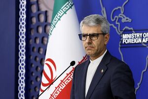 فیلم/ بقایی: تعداد زندانیان ایرانی به تعداد انگشتان دست است