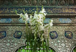 عکس/ ششم ذی القعده روز بزرگداشت حضرت شاهچراغ(ع)
