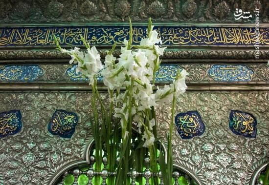 ششم ذی القعده روز بزرگداشت حضرت شاهچراغ(ع)