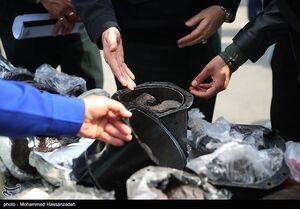انهدام ۳۷ باند تهیه و توزیع مواد مخدر