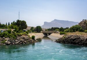 بازگشت زندگی به تالاب بختگان